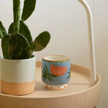Charger l'image dans la galerie, BOUGIE PARFUMÉE CACTUS PADDYWAX ADOPO