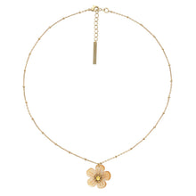 Charger l'image dans la galerie, COLLIER GOLDIE FRANCK HERVAL
