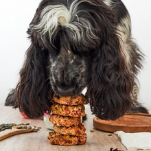 Charger l&#39;image dans la galerie, GÂTEAU POUR VOUS ET VOTRE CHIEN PINEUT
