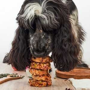 GÂTEAU POUR VOUS ET VOTRE CHIEN PINEUT