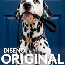 Charger l'image dans la galerie, PACK COLLIER + LAISSE POUR CHIEN FISURA
