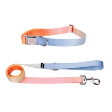 Charger l'image dans la galerie, PACK COLLIER + LAISSE DE CHIEN FISURA
