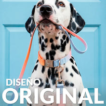 Charger l'image dans la galerie, PACK COLLIER + LAISSE DE CHIEN FISURA
