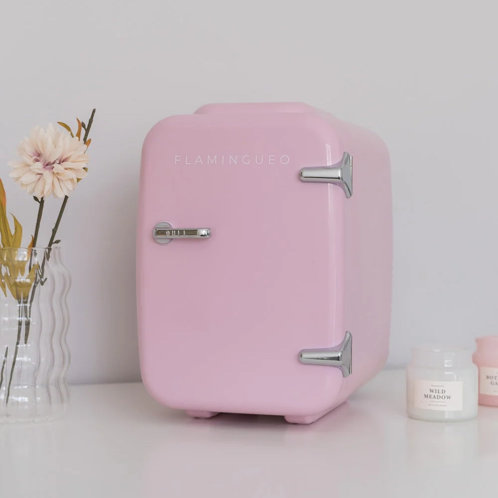 MINI RÉFRIGÉRATEUR 4L FLAMINGUEO