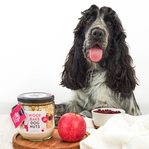 GÂTEAU POUR VOUS ET VOTRE CHIEN PINEUT